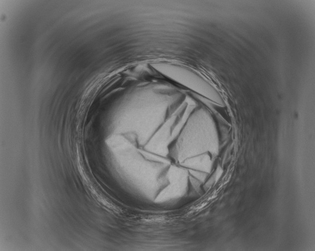 X0000083610097200703121613