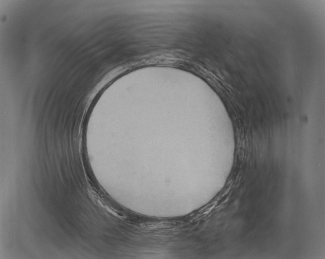 X0000083610100200703121613