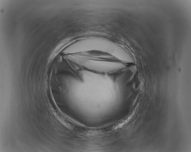 X0000083610101200703121613