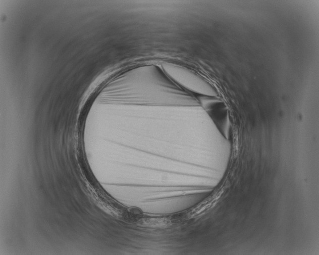 X0000083610102200703121613