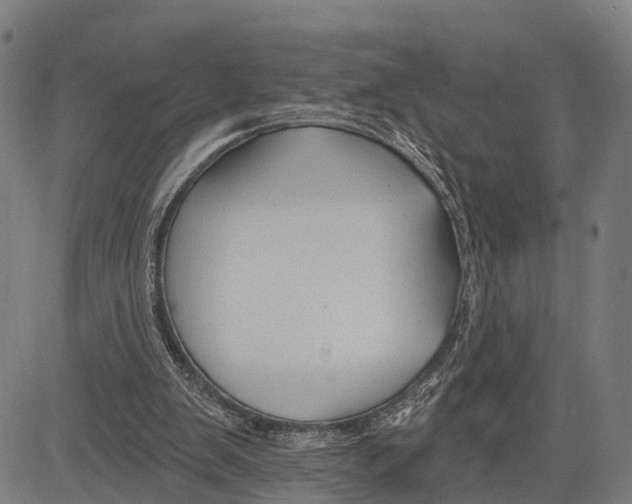 X0000083610103200703121613