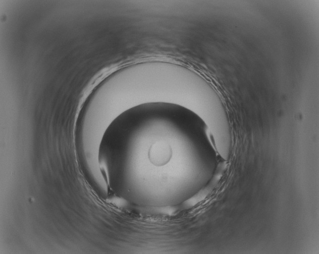 X0000083610104200703121613