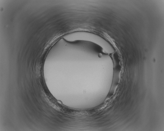 X0000083610106200703121613