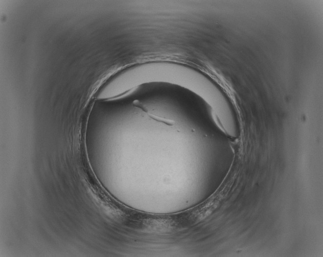 X0000083610107200703121613