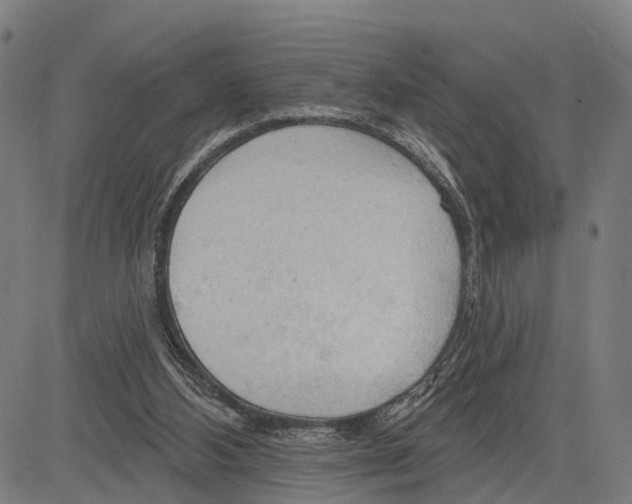 X0000083610108200703121613