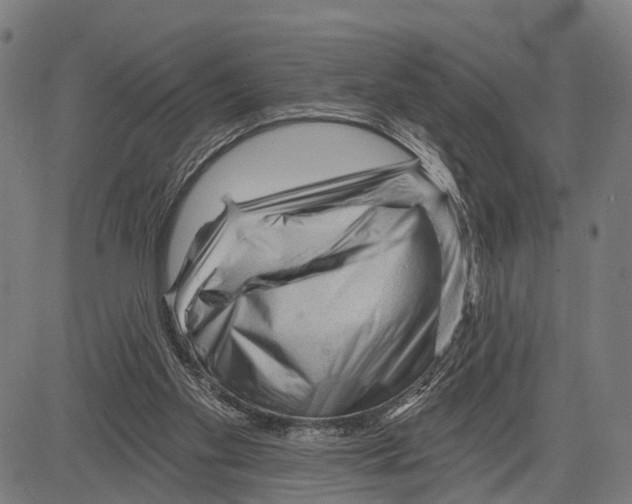 X0000083610109200703121613