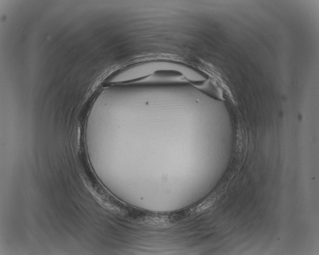 X0000083610110200703121613