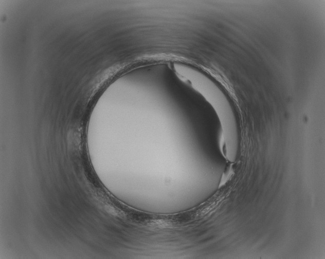 X0000083610111200703121613