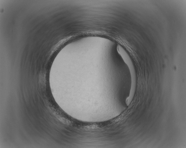 X0000083610112200703121613