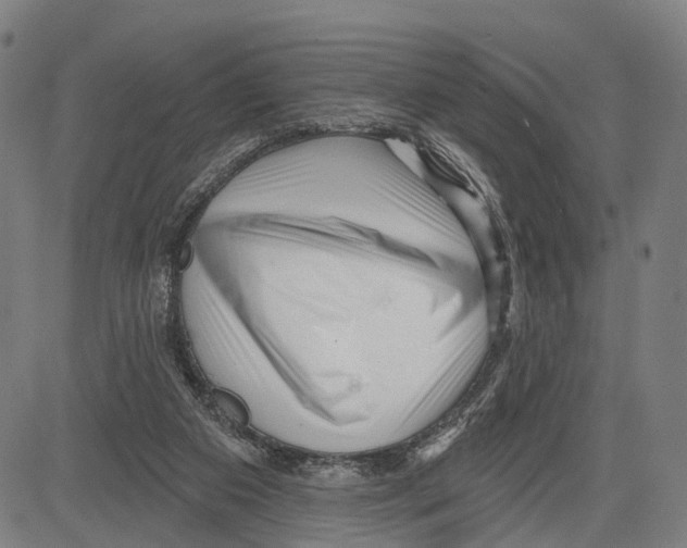 X0000083610113200703121613