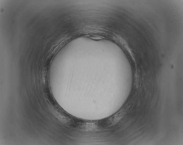 X0000083610114200703121613