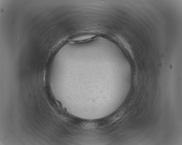 X0000083610115200703121613