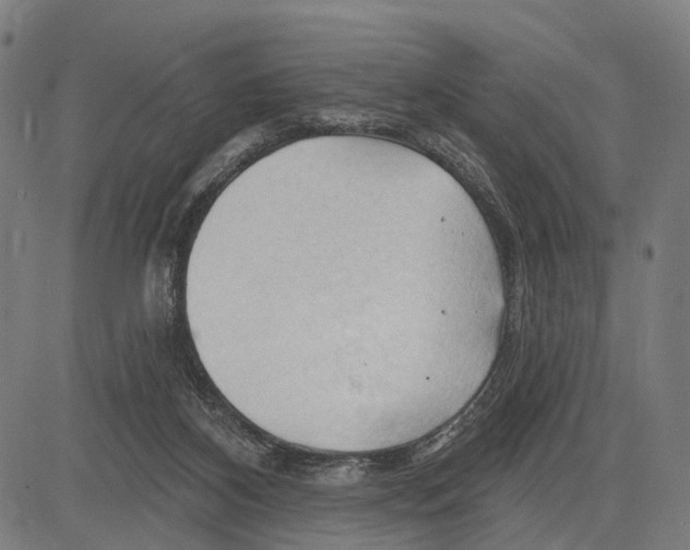 X0000083610116200703121612