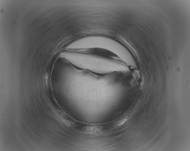 X0000083610117200703121612