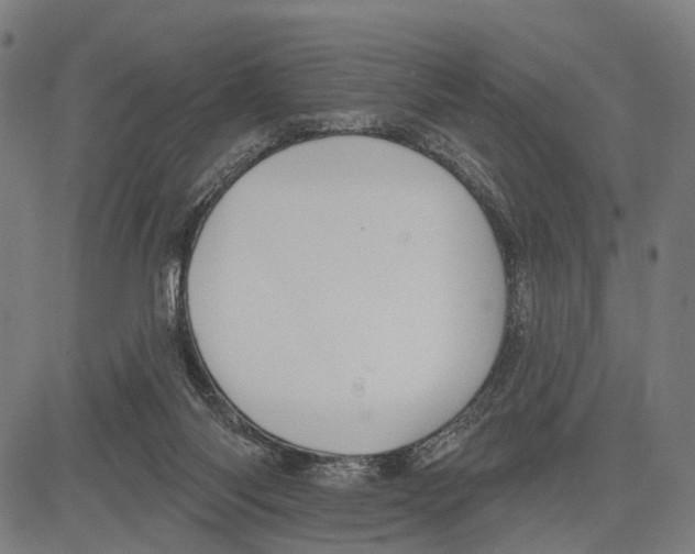 X0000083610118200703121612