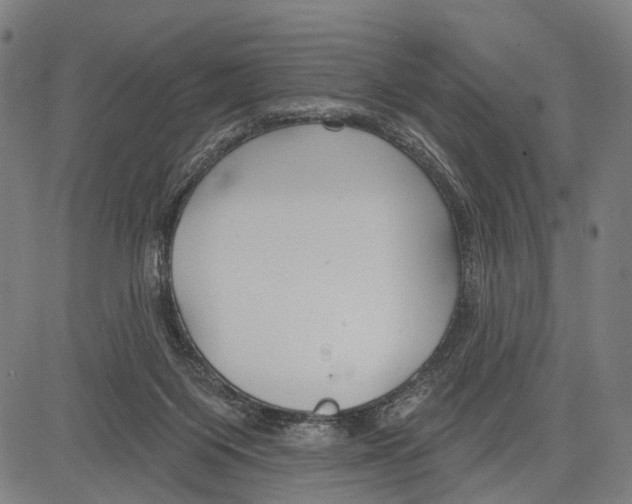 X0000083610119200703121612