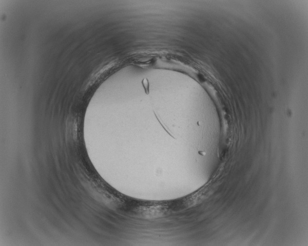 X0000083610120200703121612