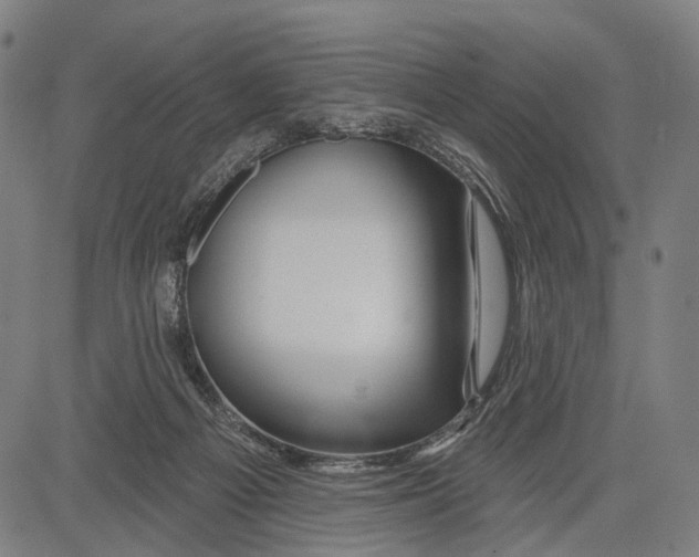 X0000083610121200703121612