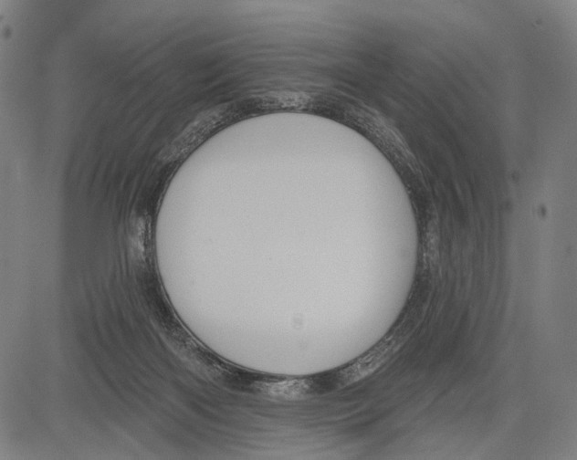 X0000083610122200703121612