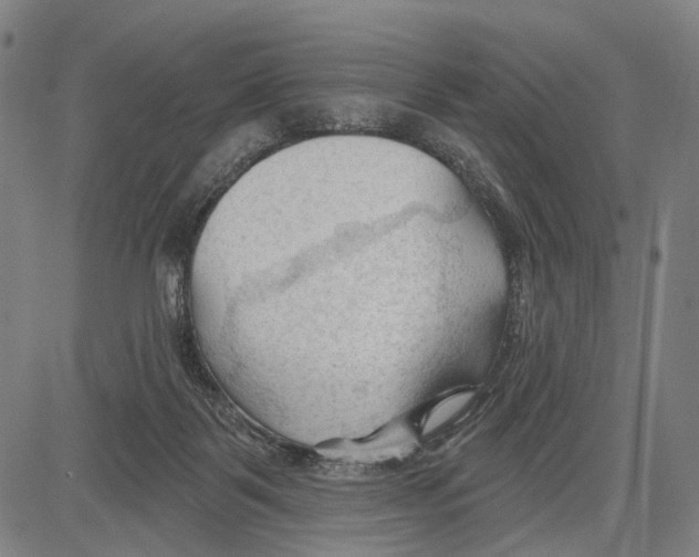 X0000083610123200703121612