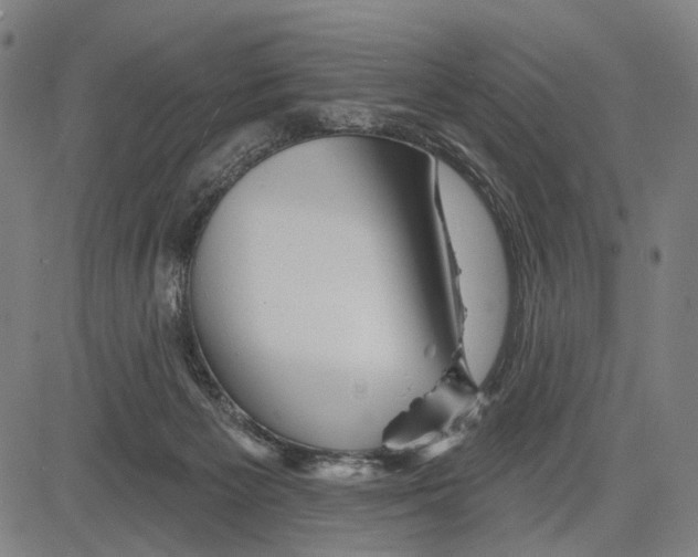 X0000083610125200703121612