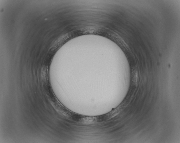 X0000083610126200703121612