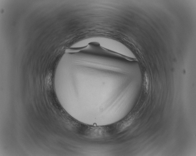 X0000083610127200703121612