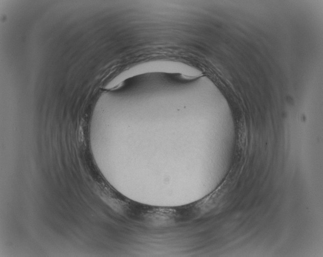 X0000083610128200703121612