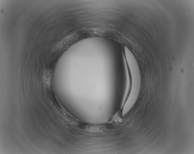 X0000083610129200703121612