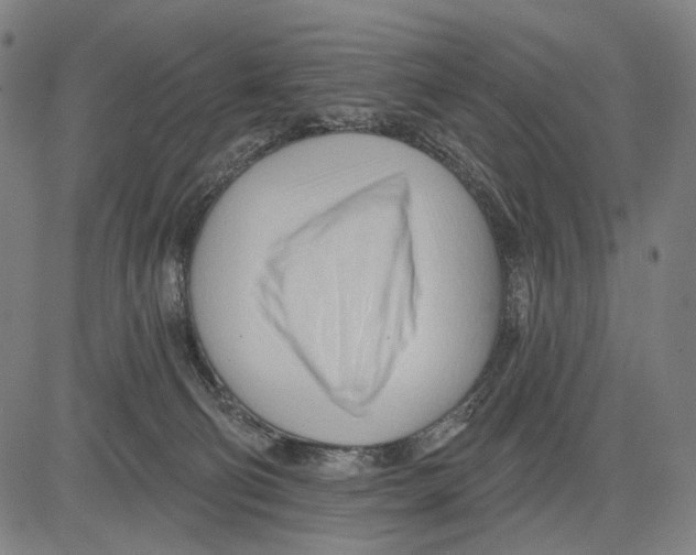 X0000083610130200703121612