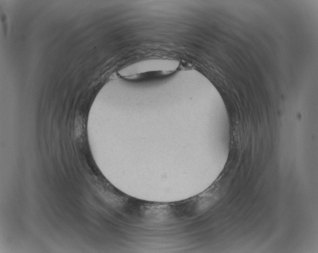 X0000083610132200703121612