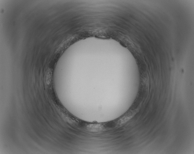 X0000083610133200703121612