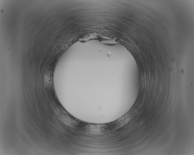 X0000083610134200703121612