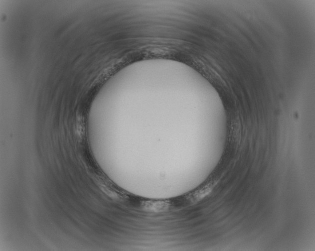 X0000083610135200703121612