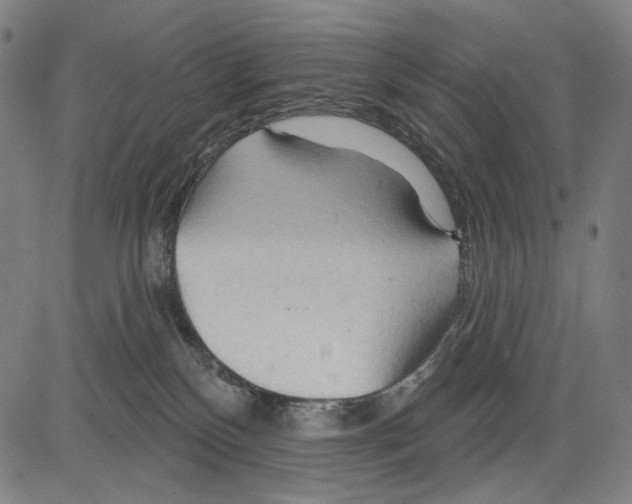 X0000083610136200703121612