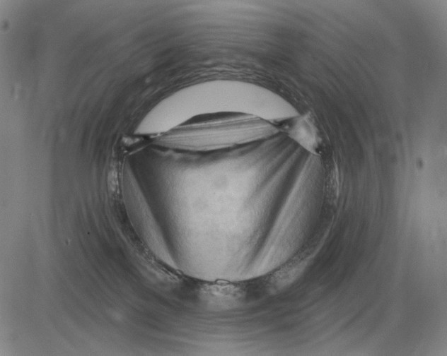 X0000083610137200703121612