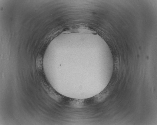 X0000083610138200703121612