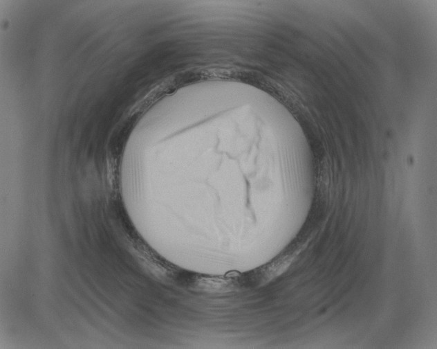 X0000083610139200703121612