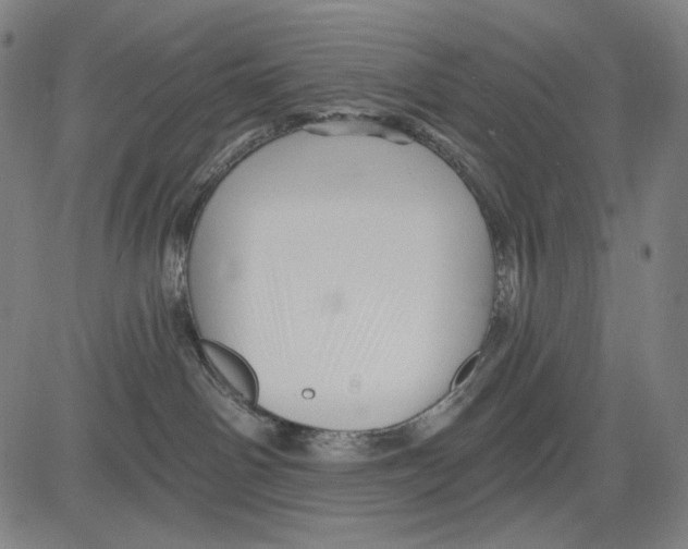 X0000083610142200703121612