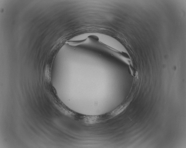 X0000083610143200703121612