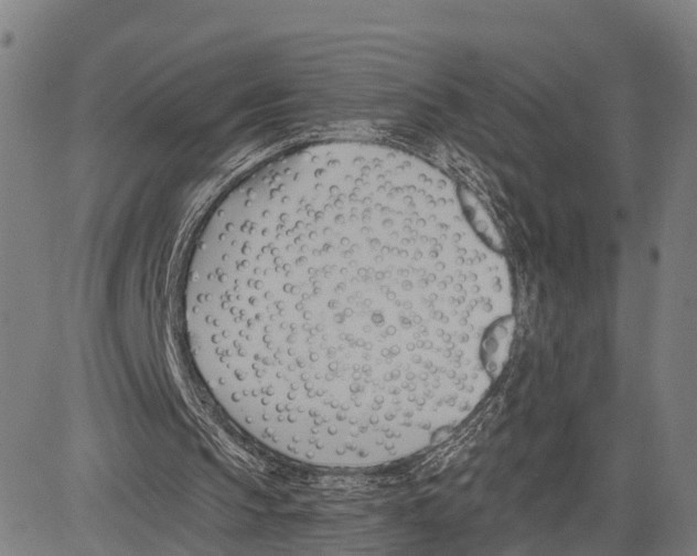 X0000083610145200703121611