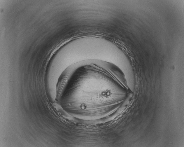 X0000083610146200703121611