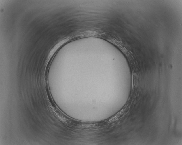 X0000083610147200703121611