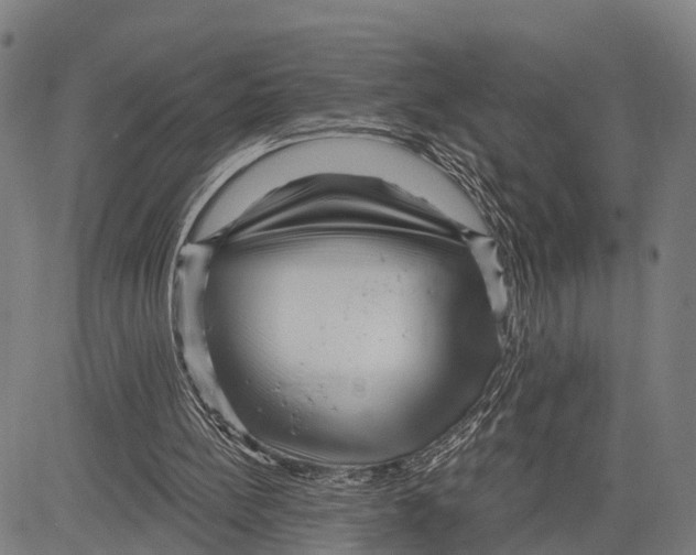 X0000083610148200703121611