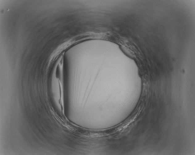 X0000083610149200703121611