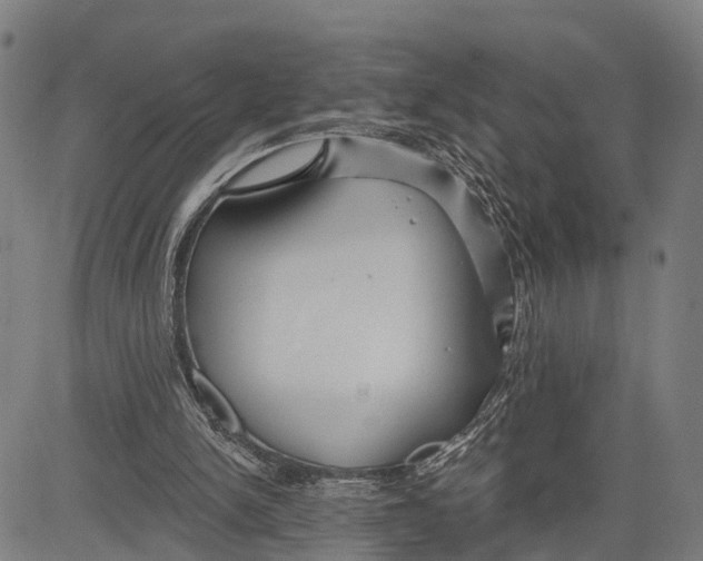 X0000083610150200703121611