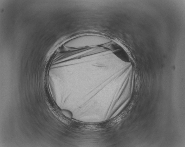 X0000083610151200703121611