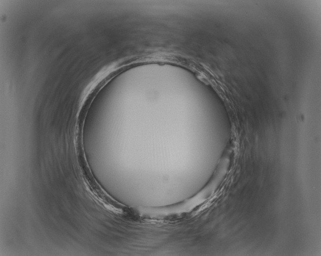 X0000083610152200703121611