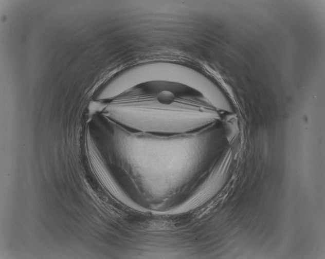 X0000083610154200703121611