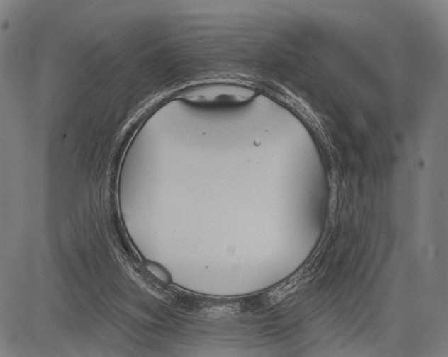 X0000083610155200703121611